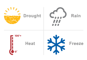 twipageperilicons2